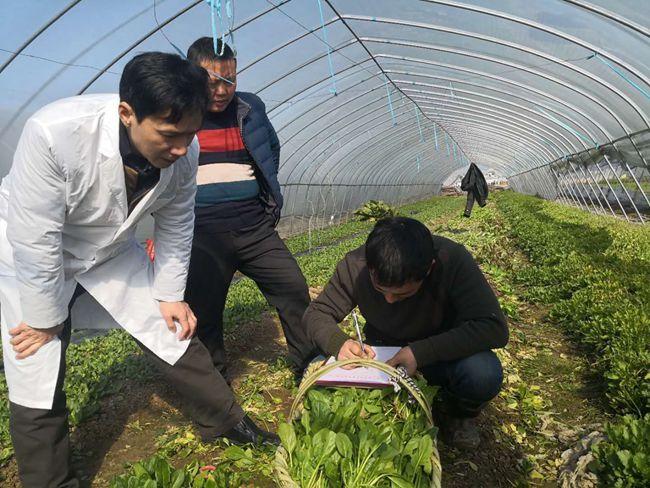 痘姆乡:强化农产品质量安全监管与检测,确保农产品安全