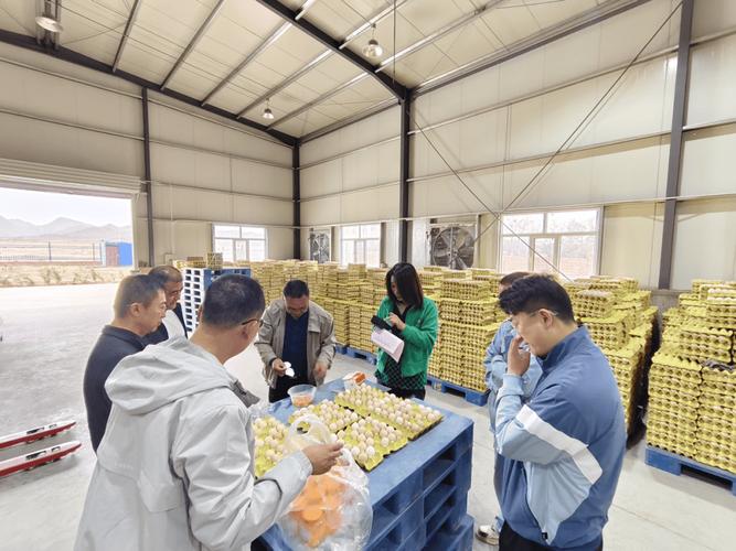 阿左旗农畜产品质量安全中心开展节前农产品质量安全抽样检测筑牢舌尖